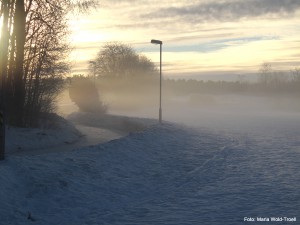 Var? på Gång- och cykelvägen mellan Eriksskolan och Berthåga, strax väster om Bärbyleden.
