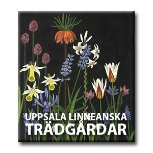 Senaste nytt från Uppsala linneanska trädgårdar
