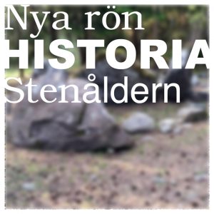 Stenålderns europeiska megalitgravar var familjegravar