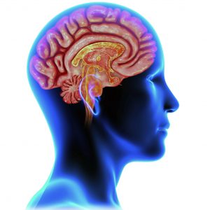 Mer individanpassad behandling vid traumatisk hjärnskada – målet för ny studie på Akademiska