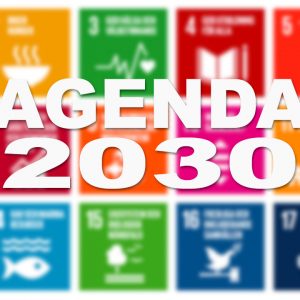 Svenska och sydafrikanska universitet i samarbete kring Agenda 2030-utmaningar