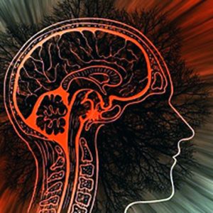 VETENSKAP: Hur är medvetandet kopplat till hjärnan?