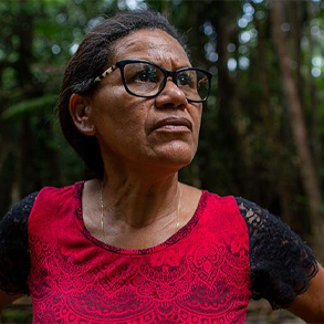 Amazonas: ”Jag vägrar sälja min mark till de som skövlar regnskog”