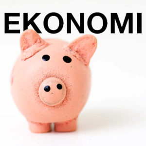EKONOMI | Uppsalas universitet är ekonomiskt välskötta