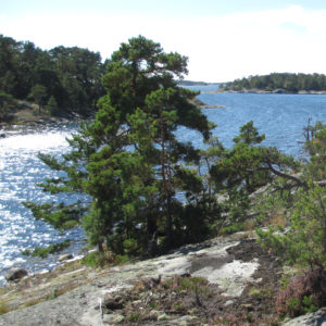 NATUR | Nu startar arbetet för att bilda en nationalpark i Nämdöskärgården i Stockholms län