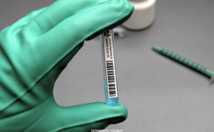 COVID-19 | Start för vaccinationer mot covid-19 tidigast i januari 2021