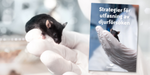 DJURENS RÄTT | Ny rapport listar tio åtgärder för utfasning av djurförsök