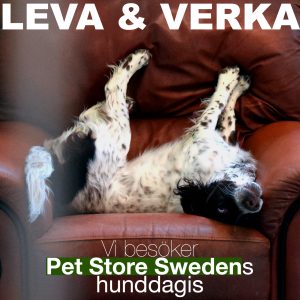 Leva & Verka: Pet Store Sweden