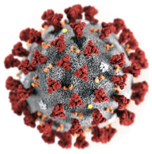 Uppdaterad information om coronaviruset covid-19