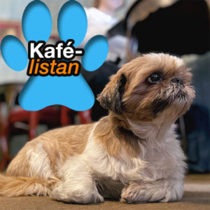 HUNDENS KAFÉLISTA: Gismo tipsar om hundvänliga kaféer och konditorier