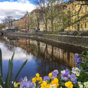 CITY | Snart har Uppsala sin första ”sommargata”