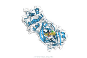 FORSKNING | Lovande molekyl för läkemedel mot coronavirus